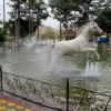 نازل مه آبنما - تصویر 5