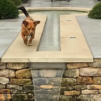 آبراهه و جوی
